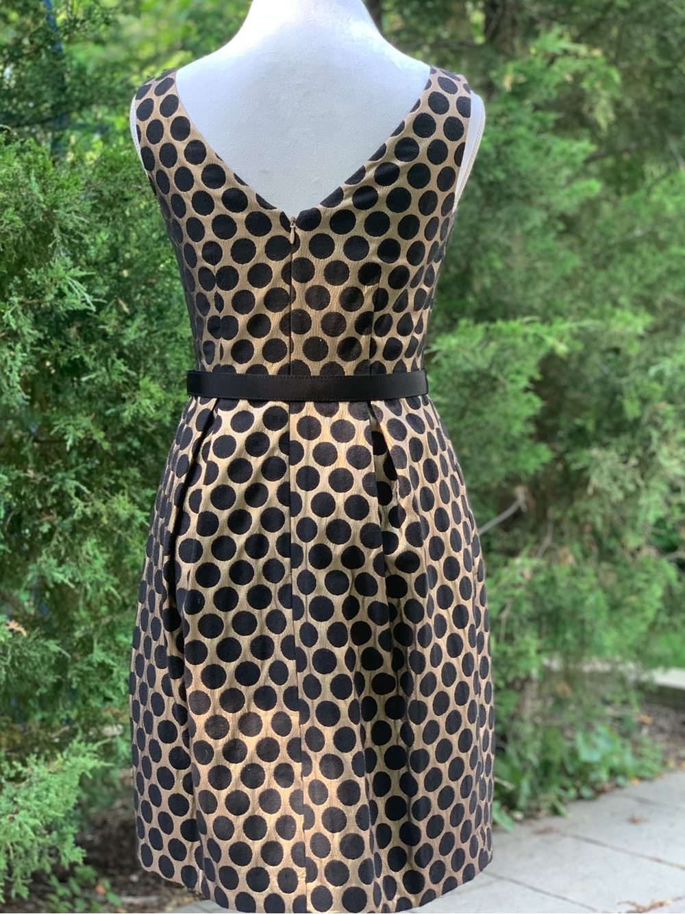 Eliza J Beige and Black Polka Dot Sleeveless Midi Dress with Belt - Picture 2 of 8